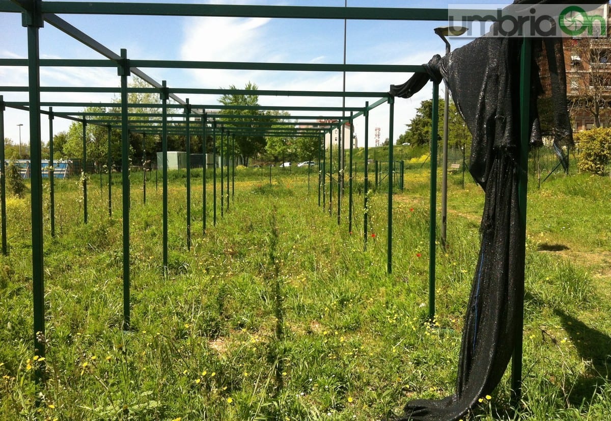 La 'pergola' malridotta