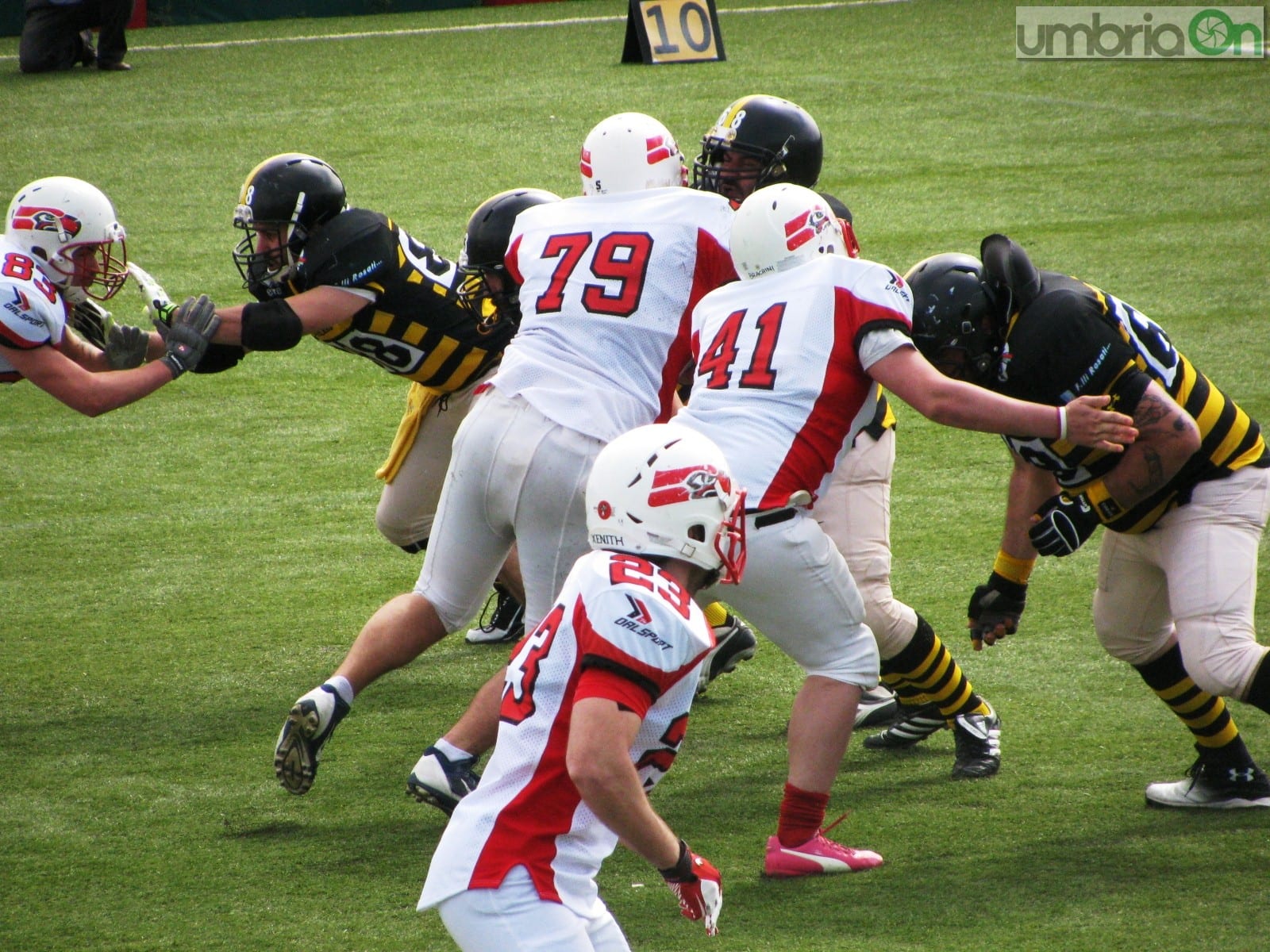 I Grifoni nel match contro gli Steelers
