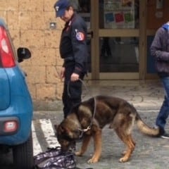 Orvieto, cani antidroga al lavoro a scuola