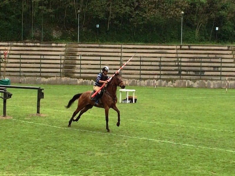 Un cavaliere impegnato nelle prove ufficiali