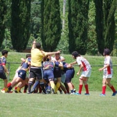 Rugby, Barton: giovanili vincenti