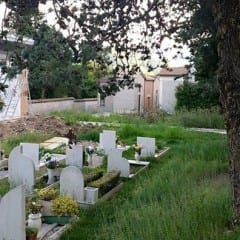 Piediluco, cimitero divorato dalle erbacce