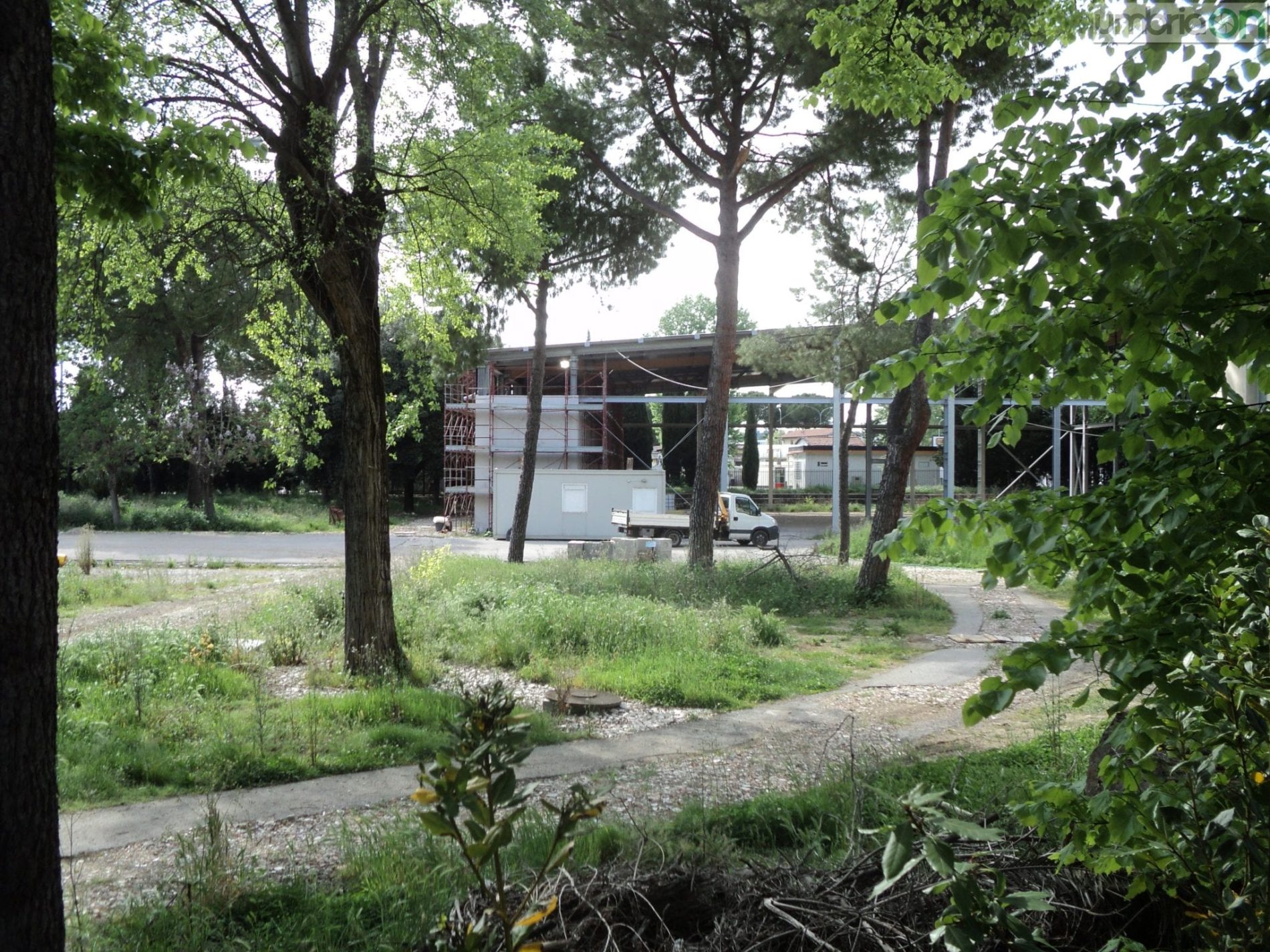 Il parco di Cardeto