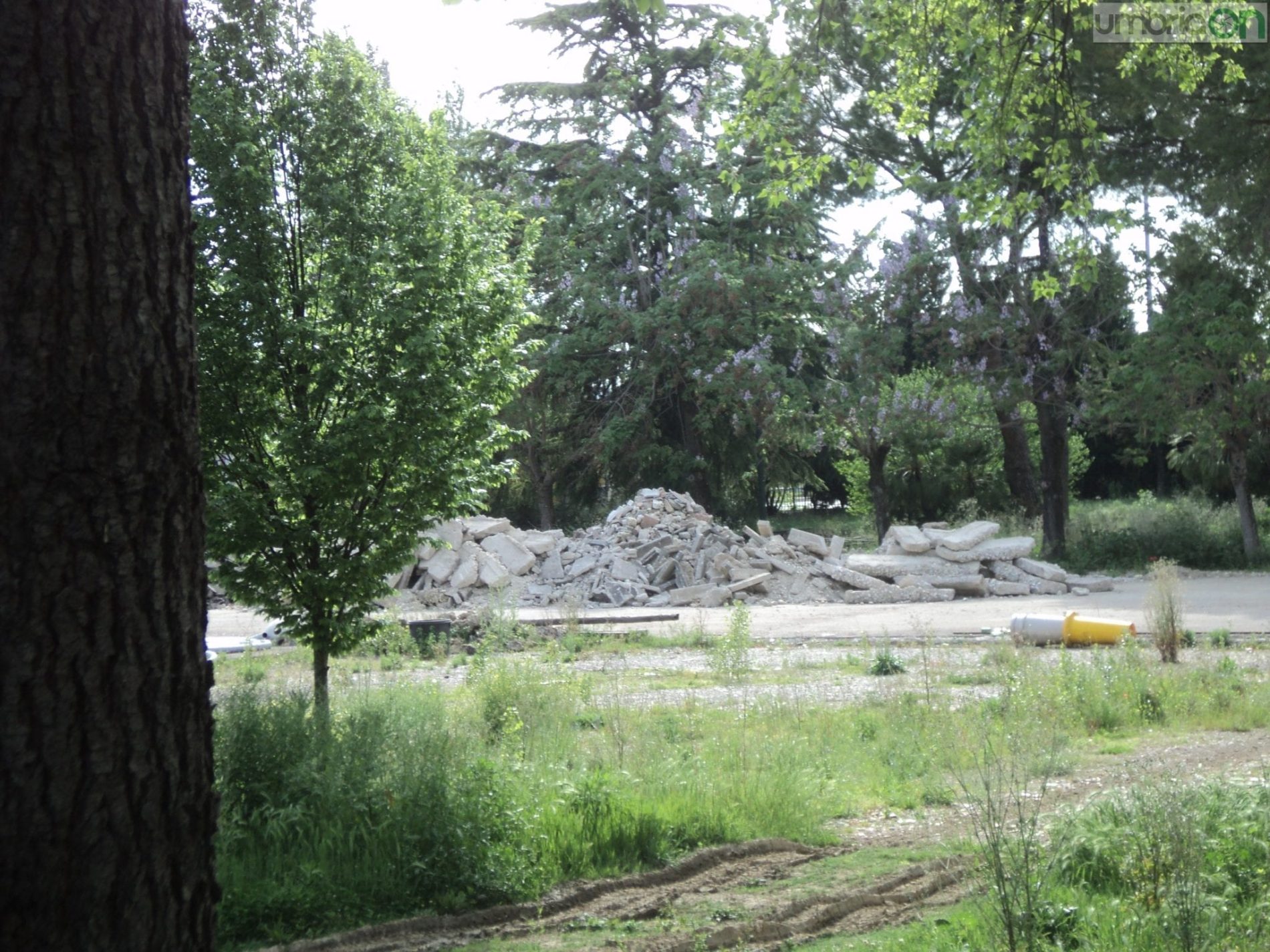 Il parco Cardeto oggi