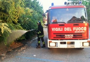 Incendio pioppi e sterpaglie, ponte Romano  (1)