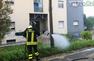 Incendio pioppi e sterpaglie, ponte Romano  (3)