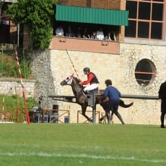 Narni, Corsa all’Anello: cavalli sotto controllo