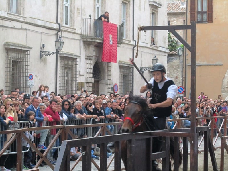 Mattia Zannori