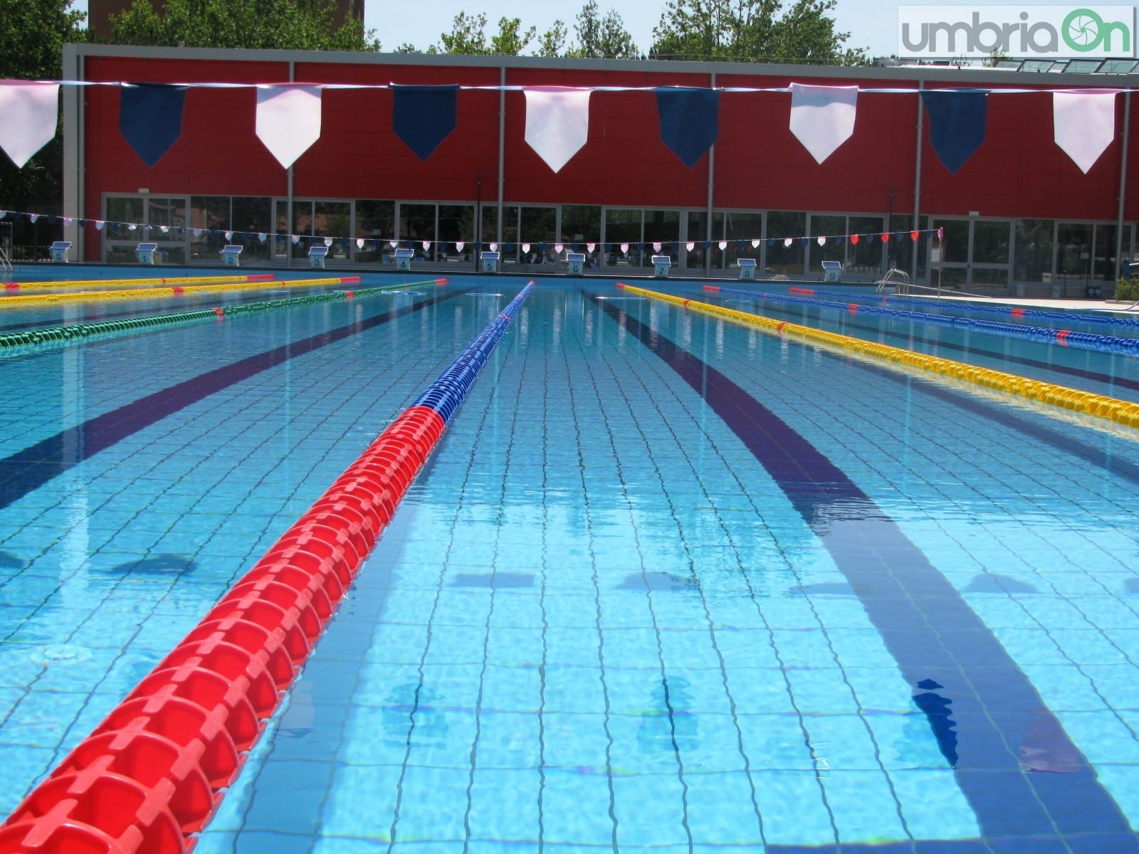 La vasca olimpionica