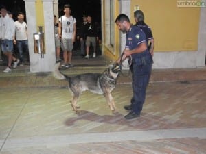 Terni Polizia antidroga droga28