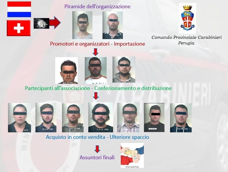 La 'catena' organizzativa