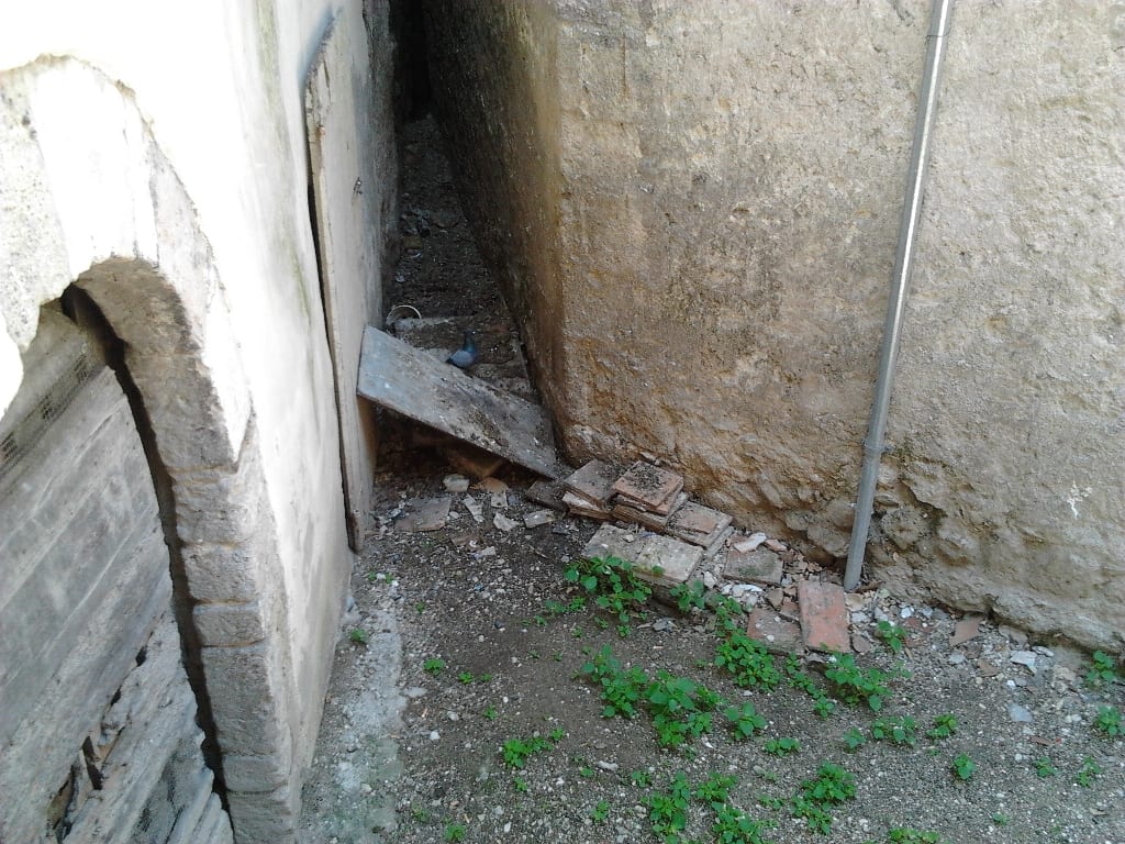 Collescipoli