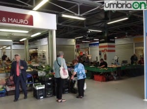 Terni mercato comune (14)