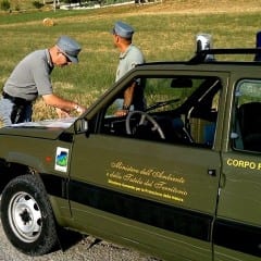 Agenzia forestale: slittano i pagamenti