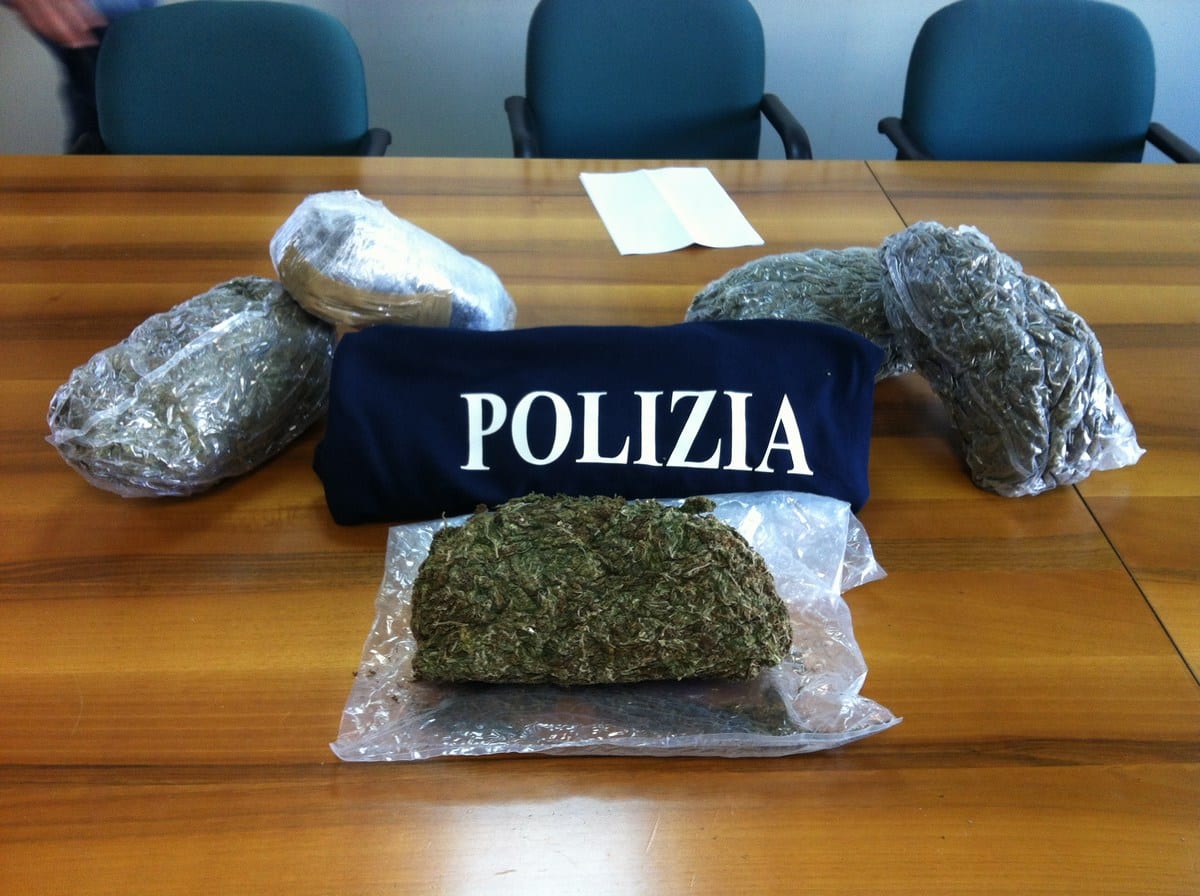 La droga sequestrata al tempo
