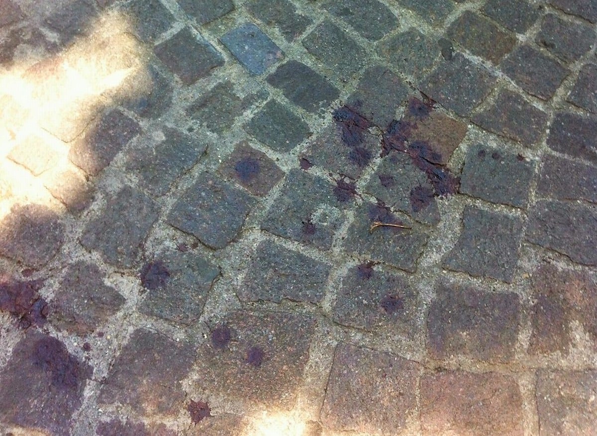 Sangue a terra