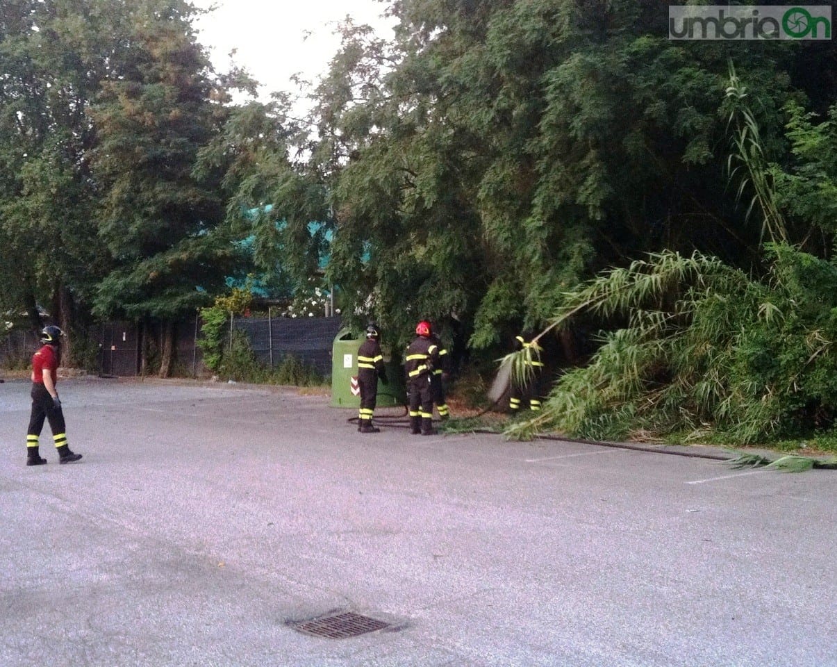 La zona interessata dall'incendio