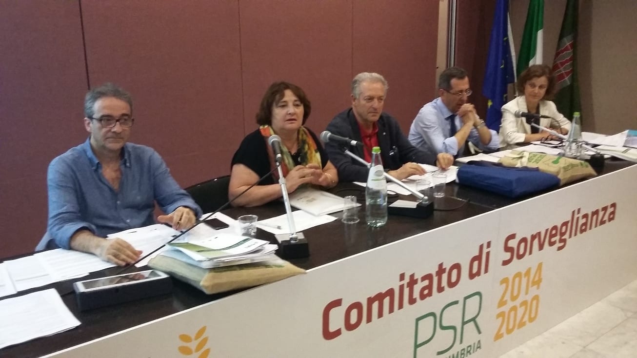 Il Comitato di sorveglianza