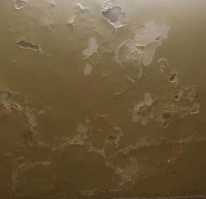 ciabatti perugia scuola34