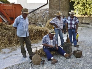 La Festa della trebbiatura (Foto Massimo Achilli)