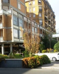 Piante parchi terni6