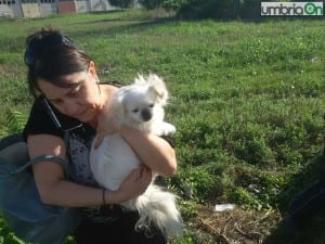Il cane della coppia รจ stato salvato