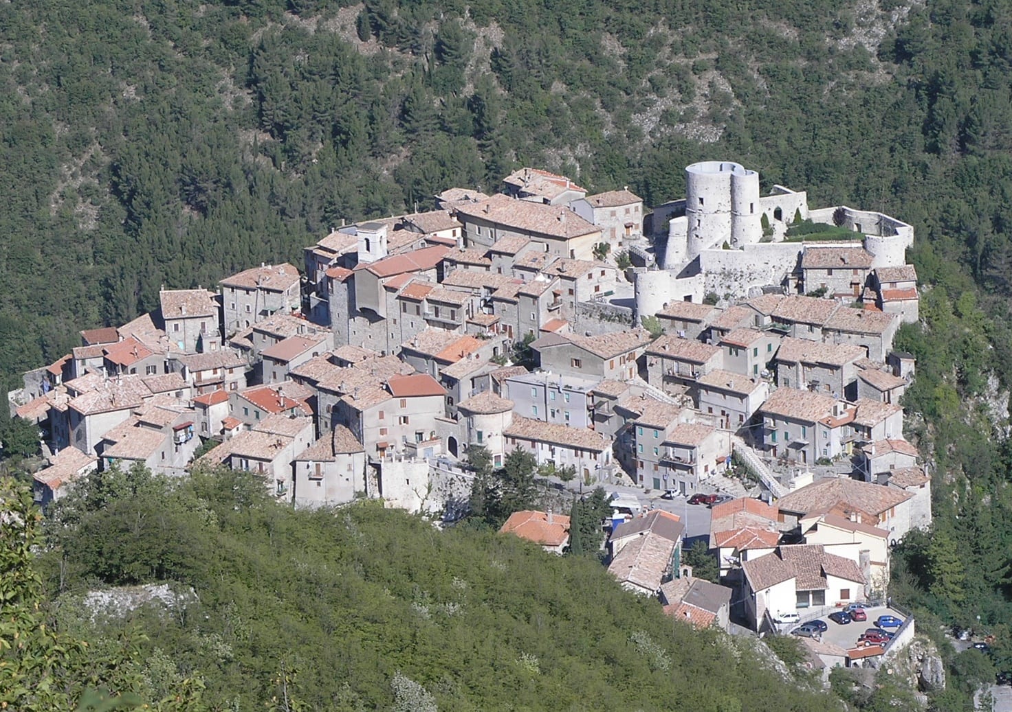 Polino