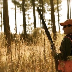 Cacciatore minaccia guardaccia: «Ti sparo»