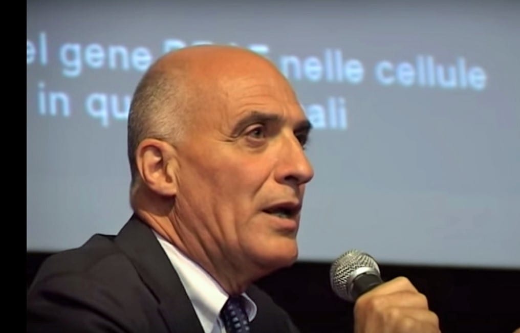 Il professor Brunangelo Falini