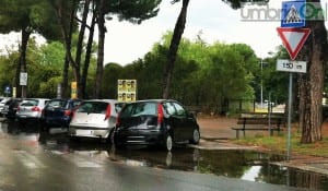 Lungonera Cimarelli