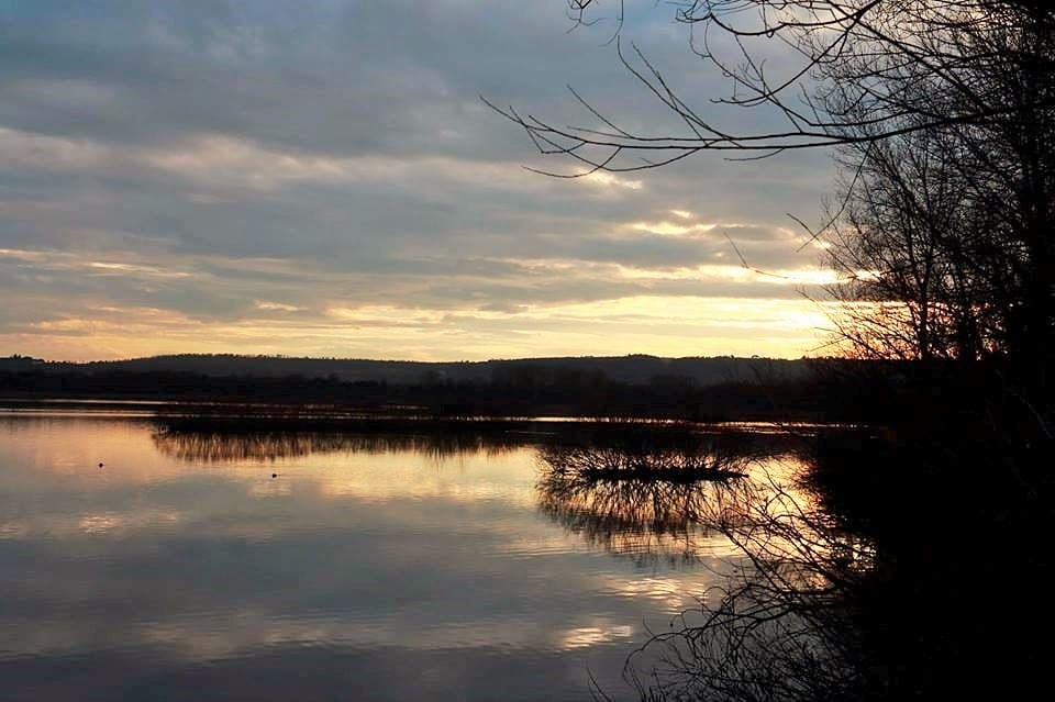 l'oasi Wwf del lago di Alviano