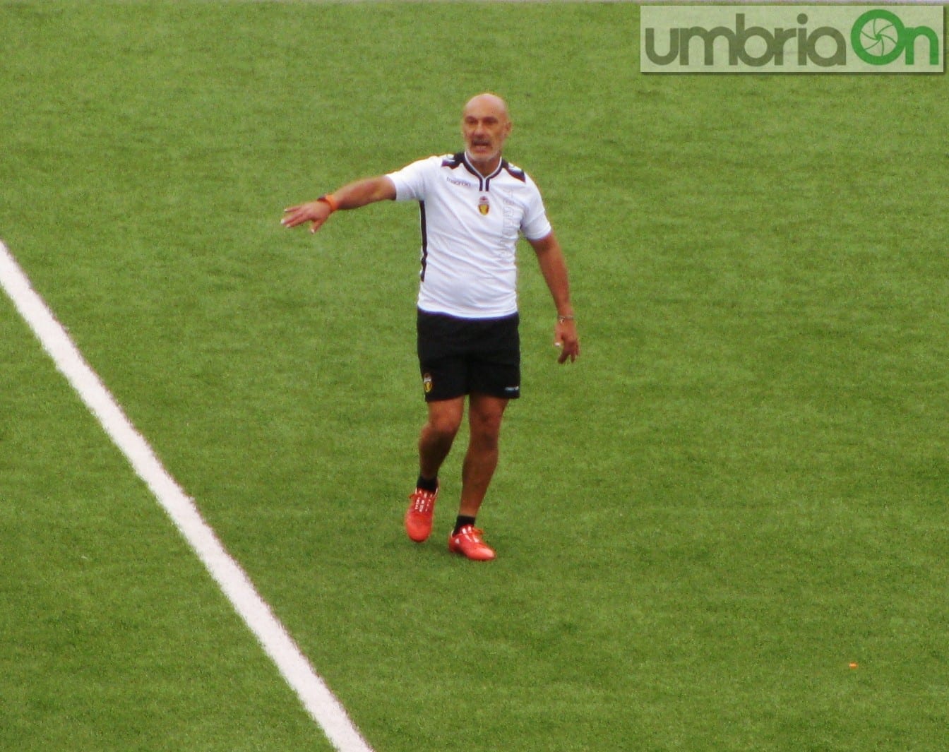 Stefano Avincola