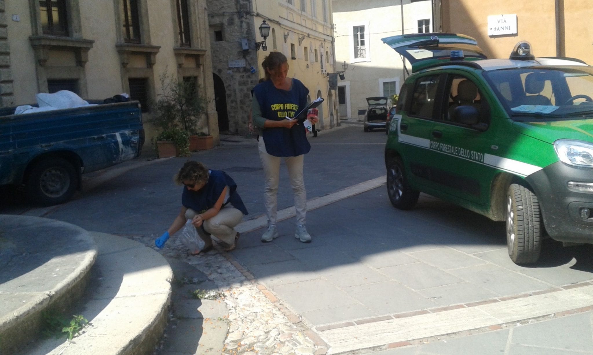 La Forestale a Collescipoli