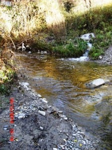 Le foto che testimoniano l'inquinamento del torrente Mussino