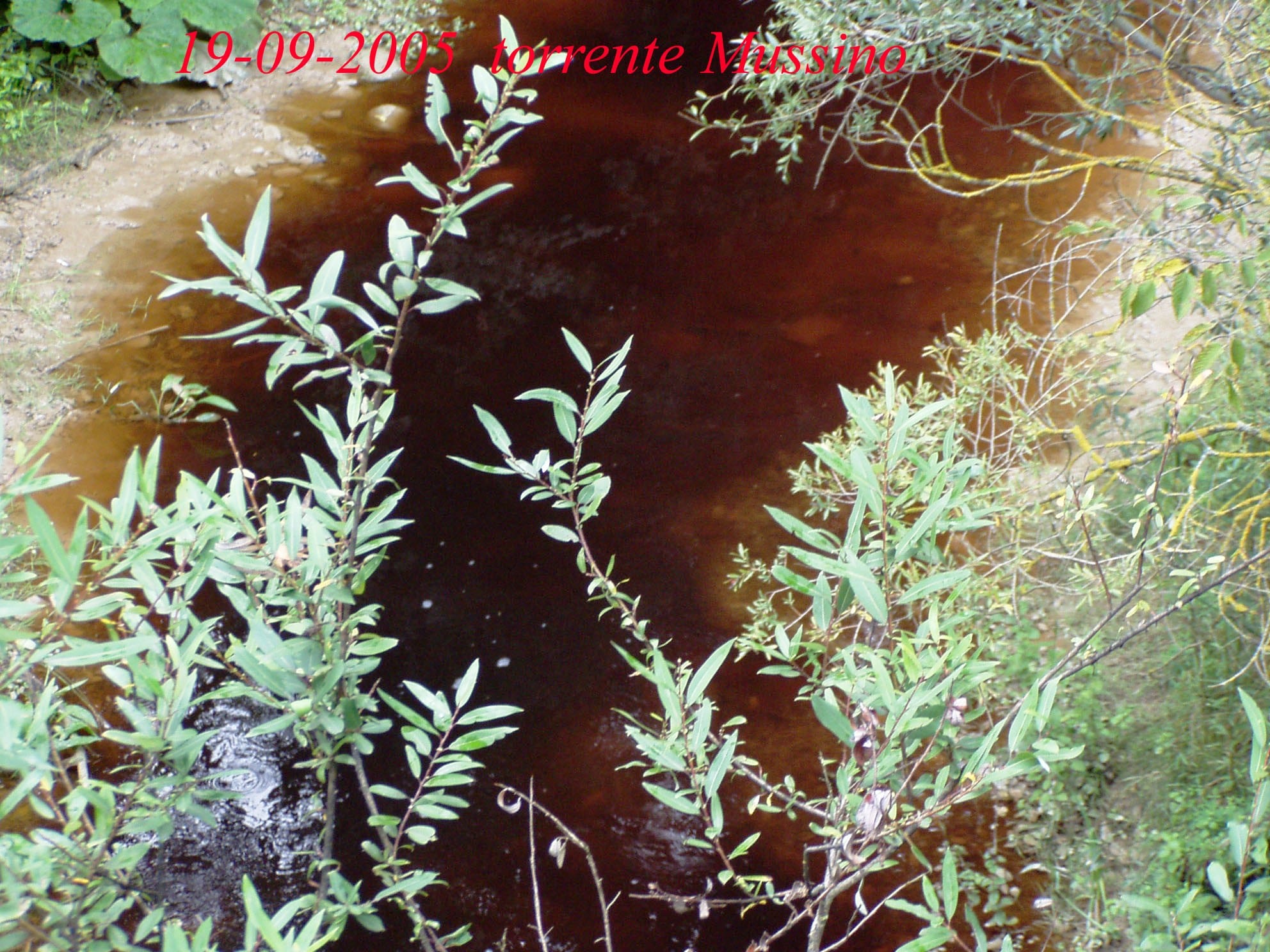 Il torrente Mussino