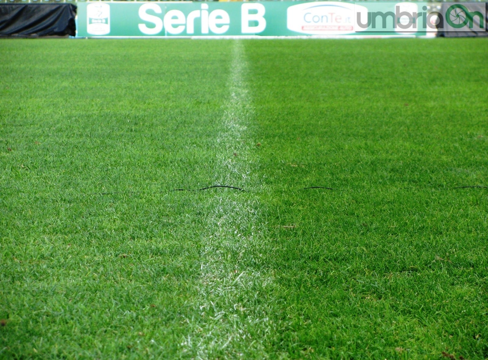 Il manto erboso nell'ottobre del 2015