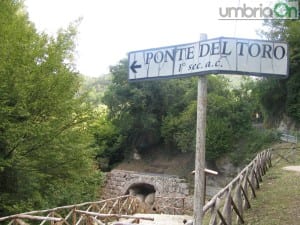 ponte del toro 08