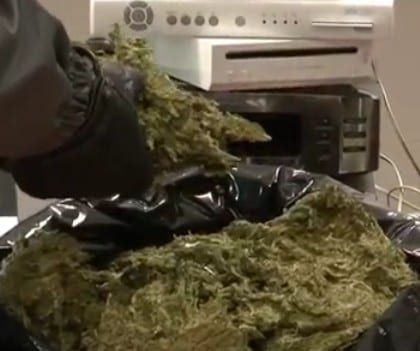 Perugia, sequestrati due chili di marijuana