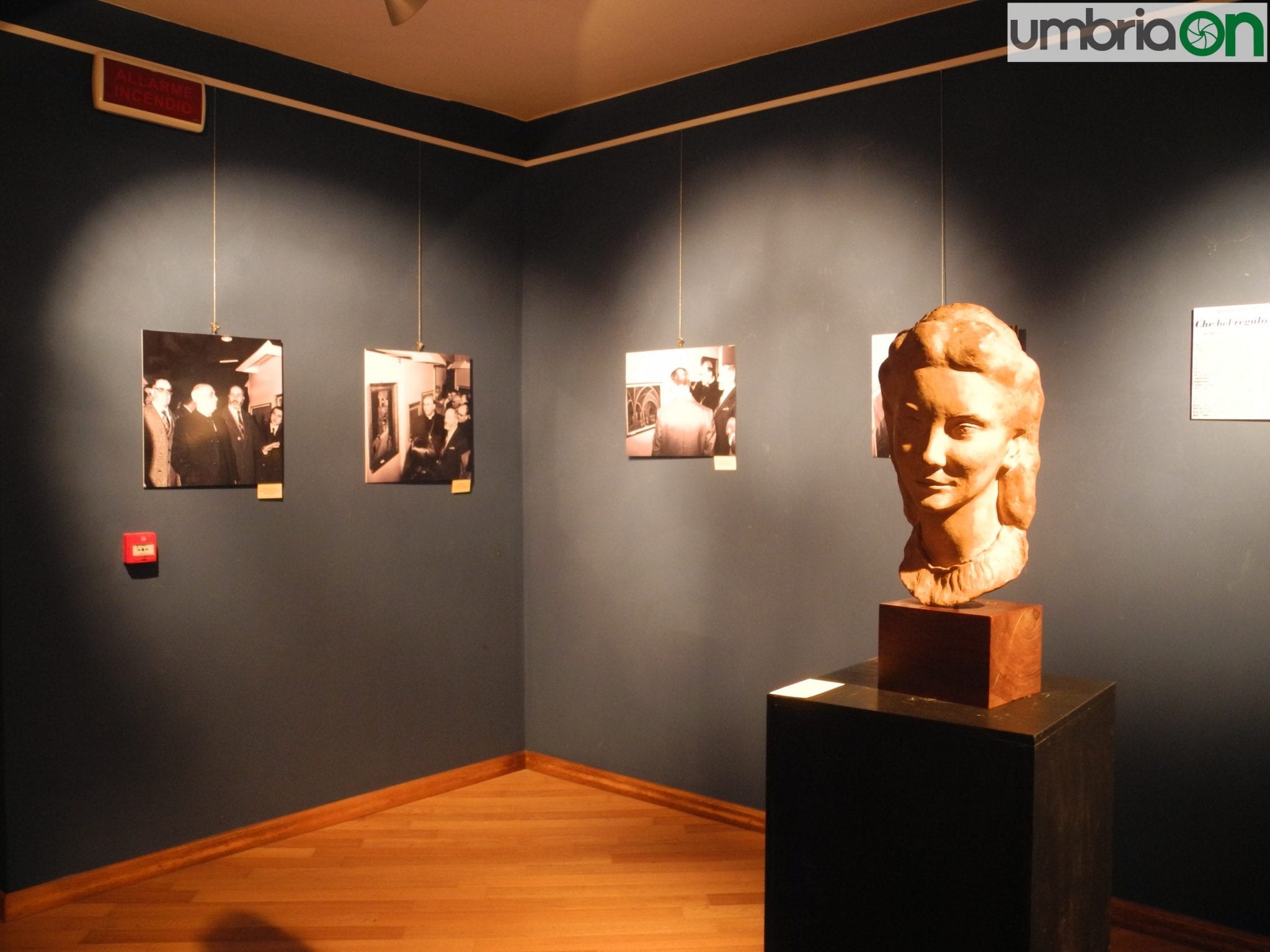 La mostra