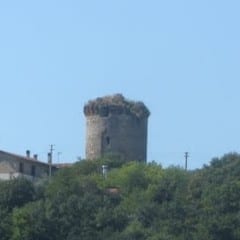 Torre Colleluna, M5S: «La compri la città»