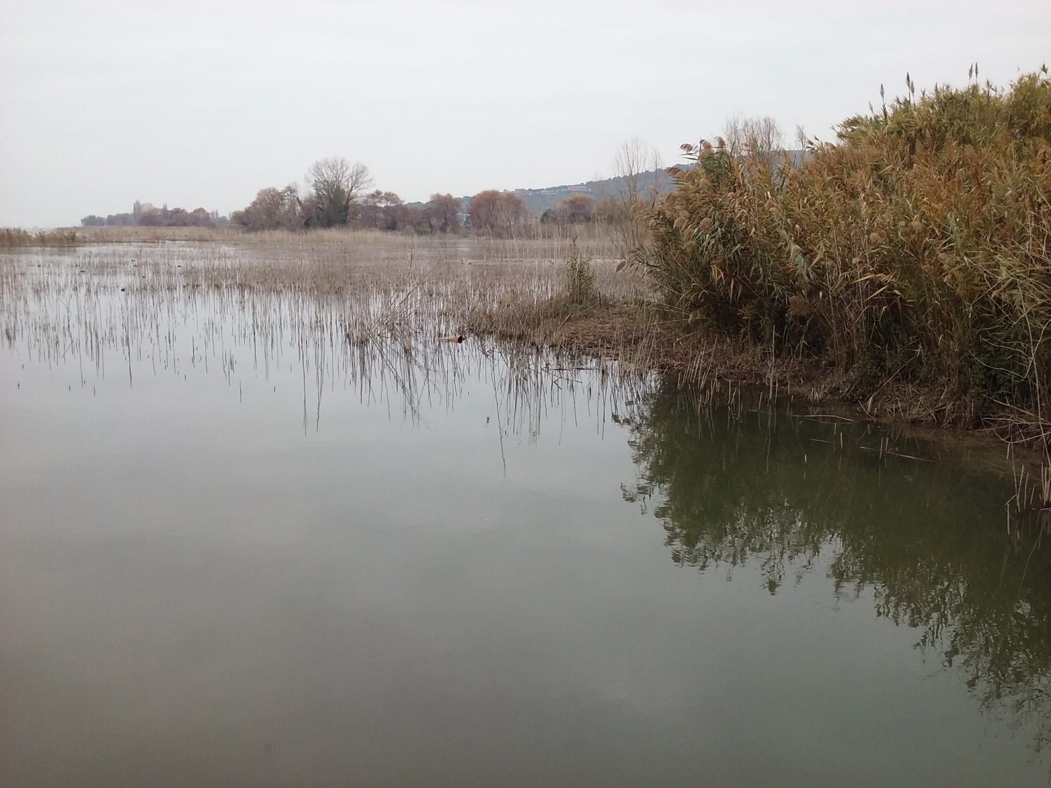 Il lago Trasimeno in affanno