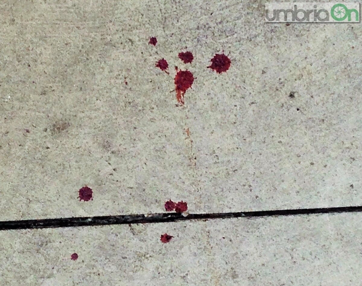 Il sangue a terra