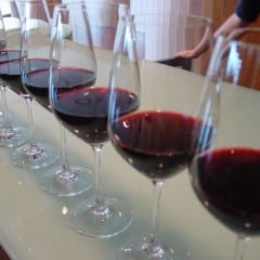 La produzione di vino cala dell’8% in Umbria