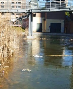Il laghetto