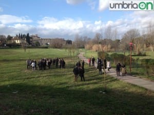 Terni Dante Ciliani albero (15)