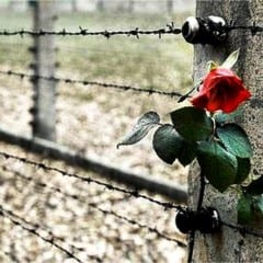 ‘Giorno della Memoria’: «Olocausto mai più»