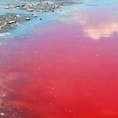 Terni, acqua inquinata: «Nessun intervento»
