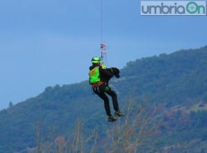 sasu esercitazione627 cane