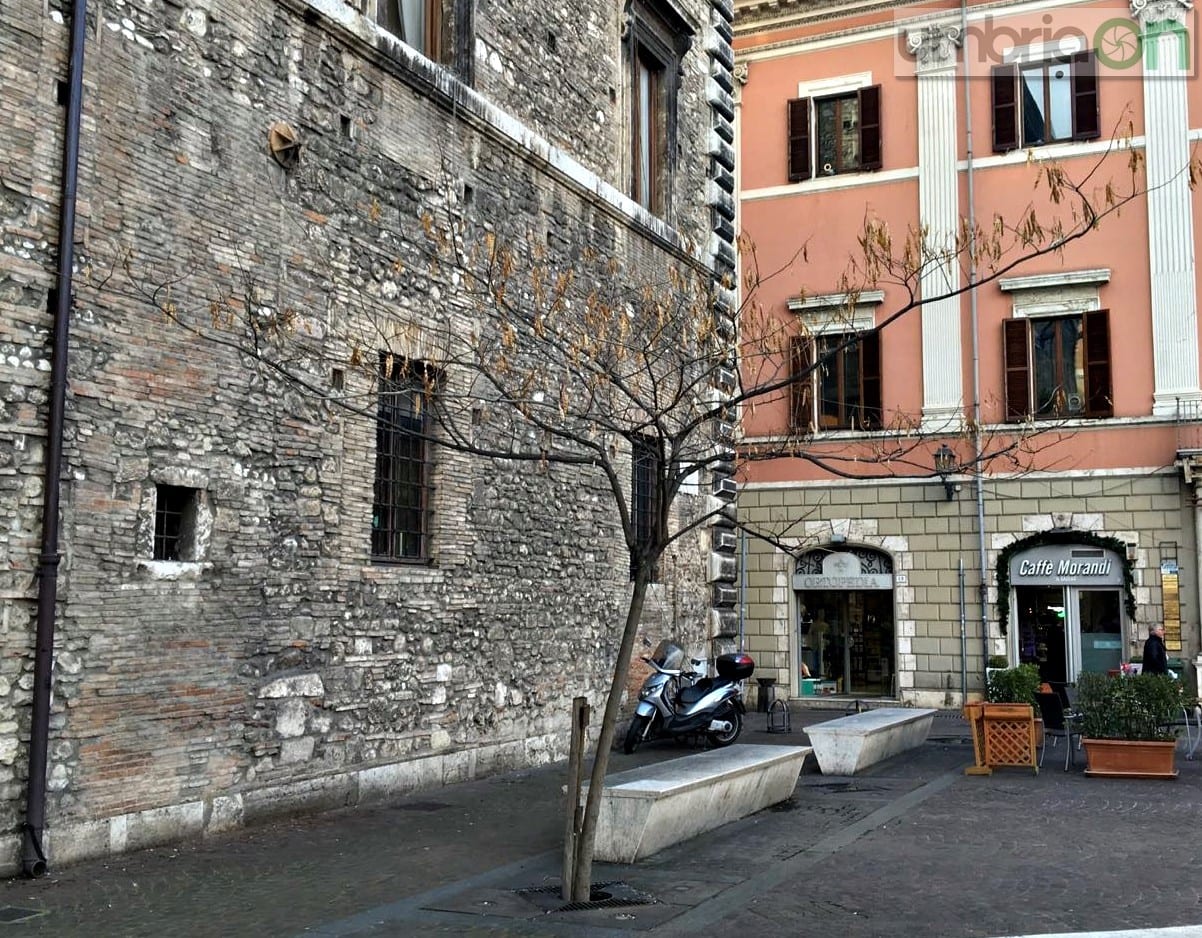 Terni, in piazza Europa arrivano gli alberi