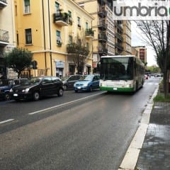 Terni, viale Battisti: jungla d’asfalto